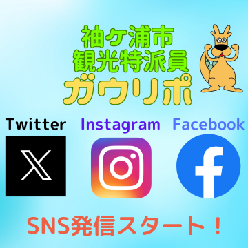 特派員スタート 新.png